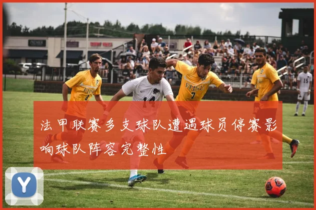 法甲联赛多支球队遭遇球员停赛影响球队阵容完整性